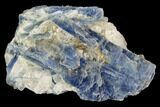 Vibrant Blue Kyanite Crystals In Quartz - Brazil #118857-1